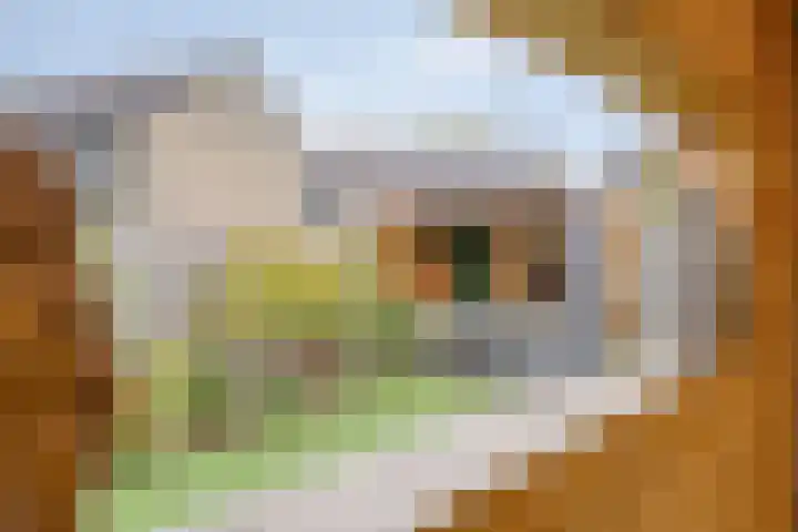 Patrijsstraat 52 Neede thumbnail 7