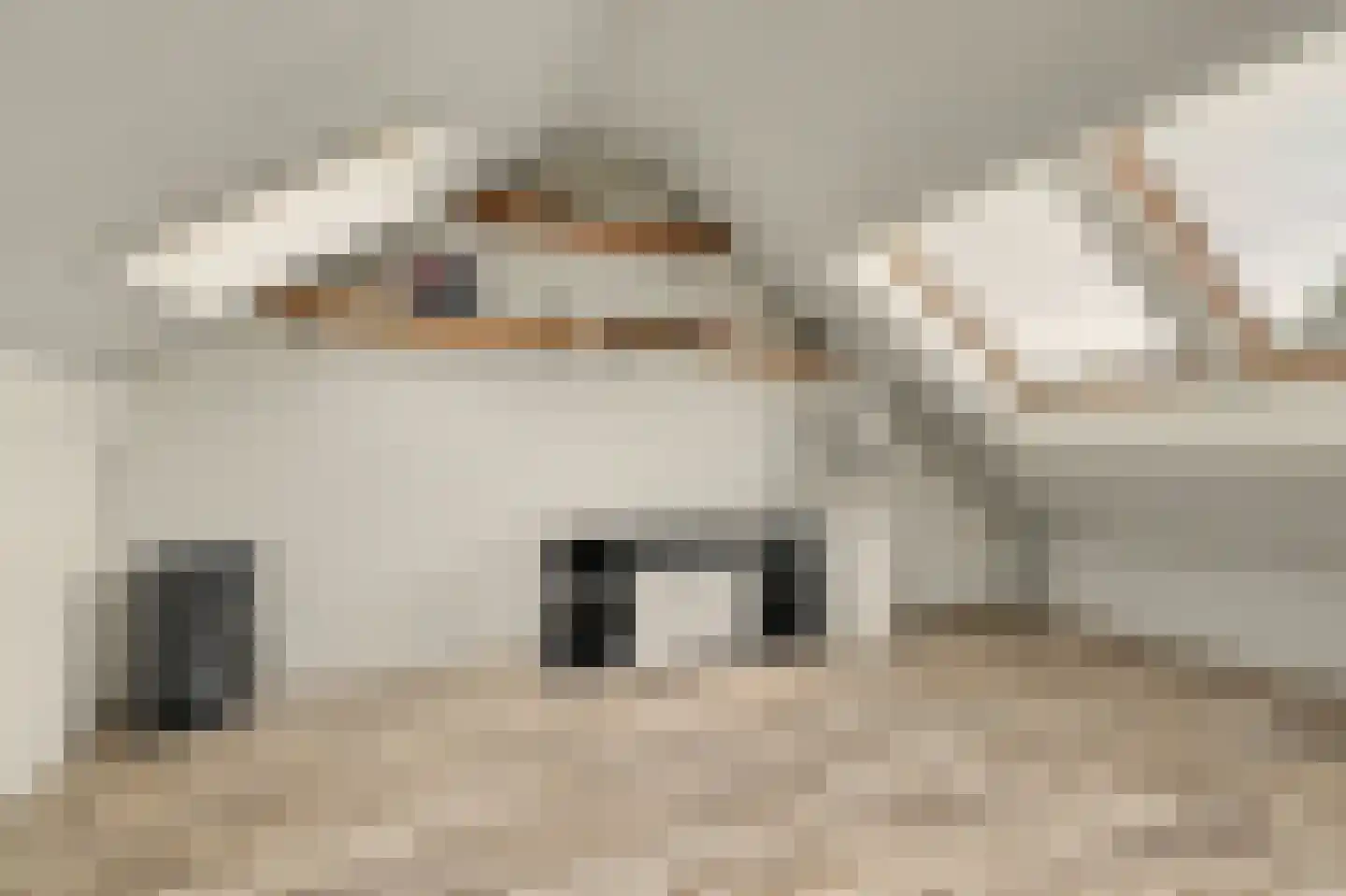 Patrijsstraat 56 Driel thumbnail 23