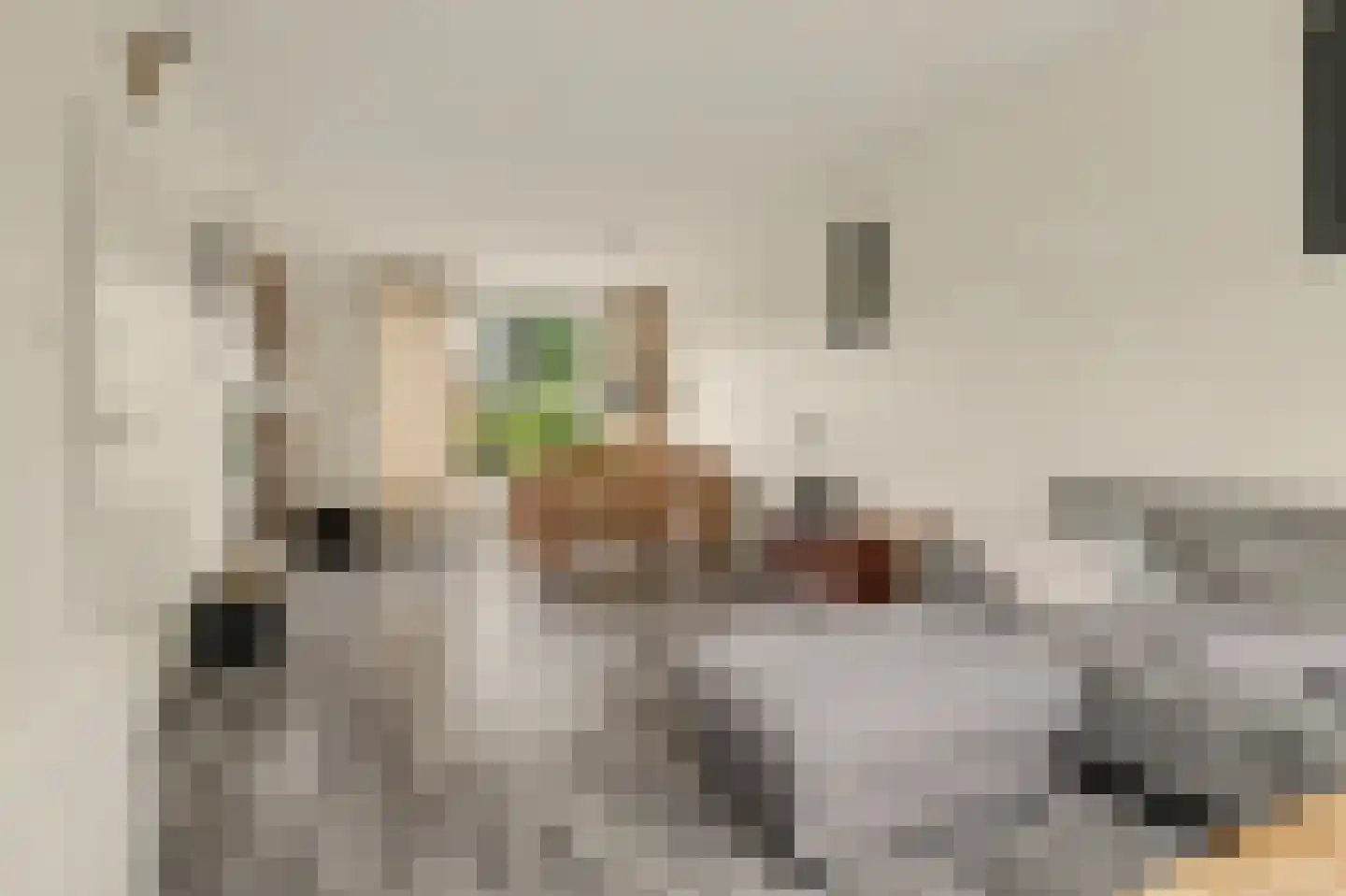 Patrijsstraat 56 Driel thumbnail 9
