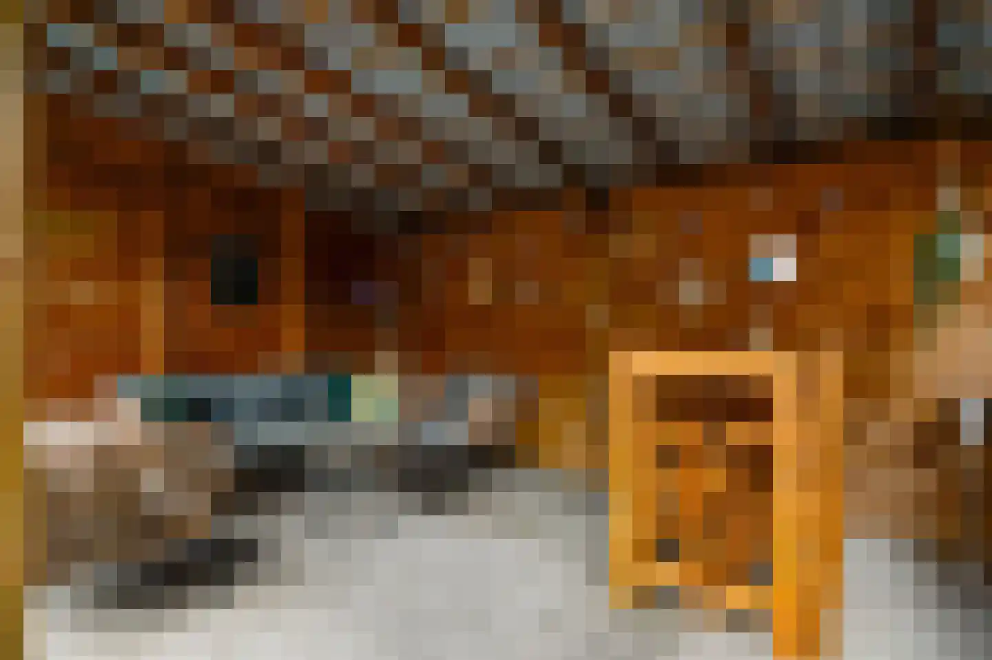 Patrijsstraat 6 Geleen thumbnail 12