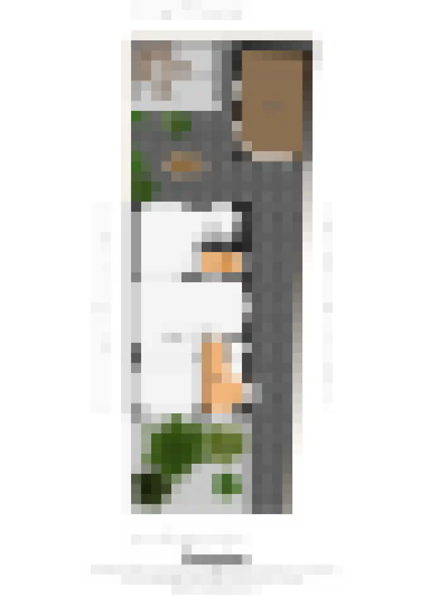 Patrijsstraat 6 Geleen thumbnail 22