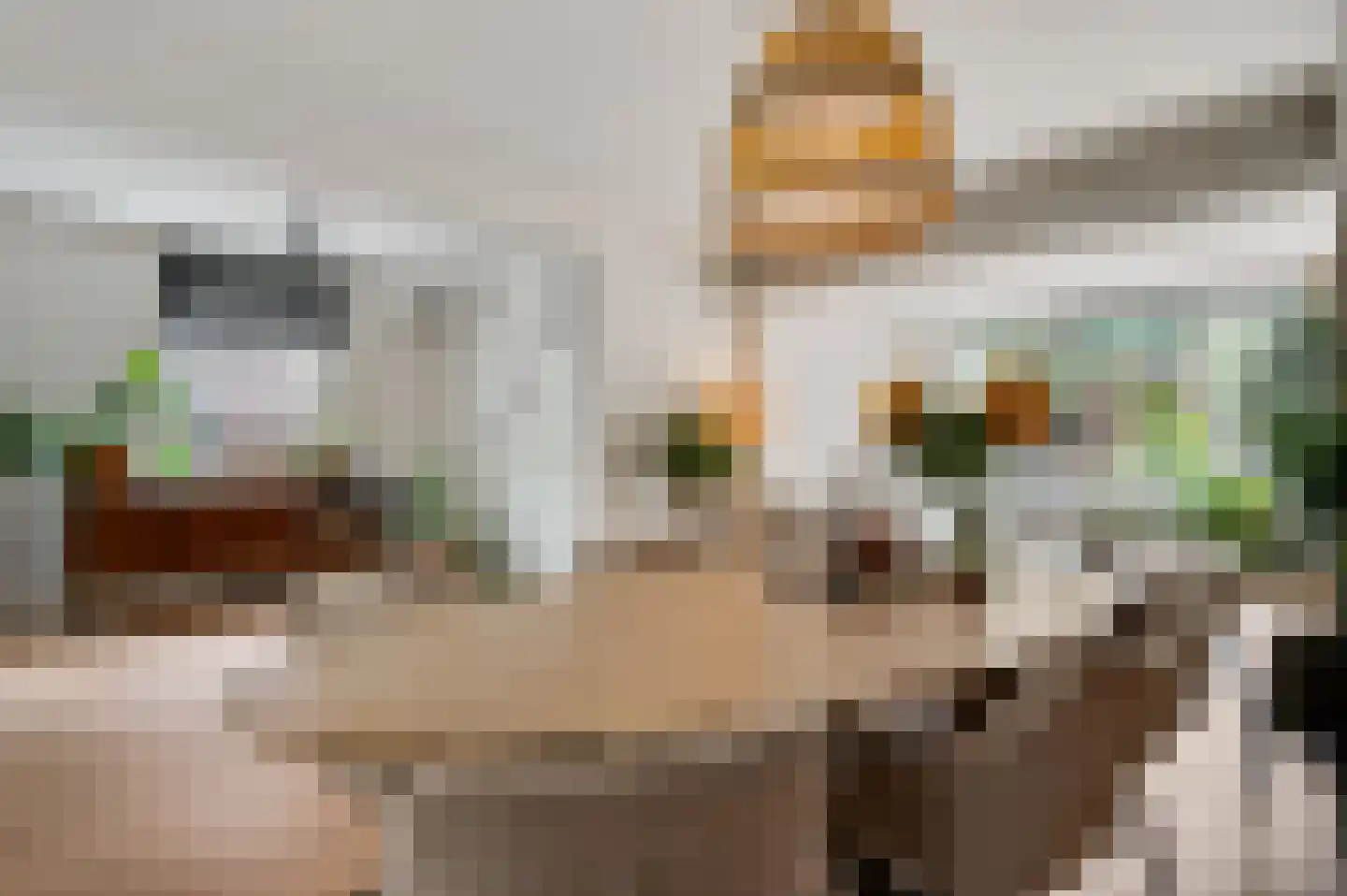 Patrijsstraat 6 Geleen thumbnail 9