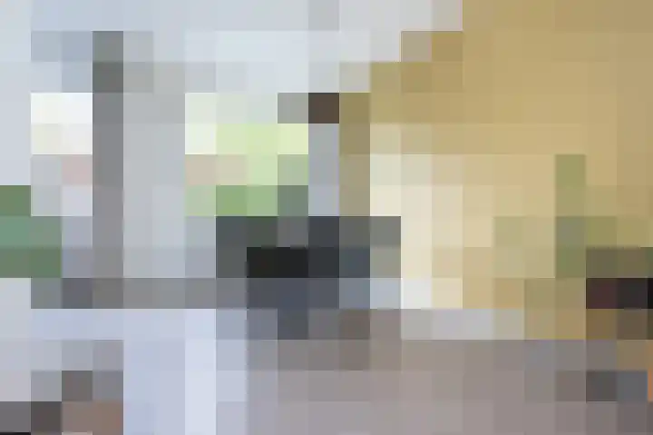 Patrijsstraat 6 Sommelsdijk thumbnail 10