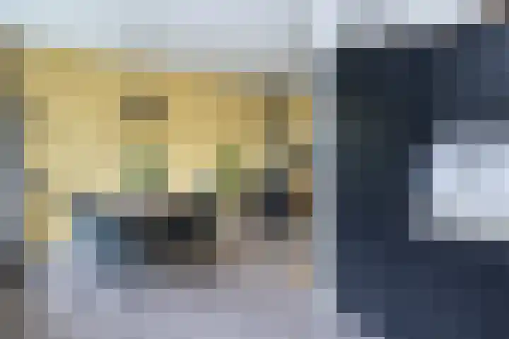 Patrijsstraat 6 Sommelsdijk thumbnail 12