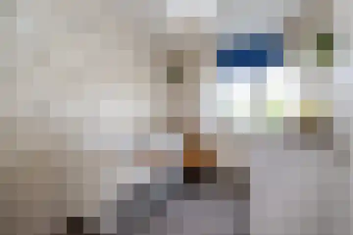 Patrijsstraat 6 Sommelsdijk thumbnail 19