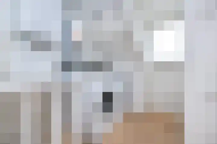 Patrijsstraat 6 Sommelsdijk thumbnail 24