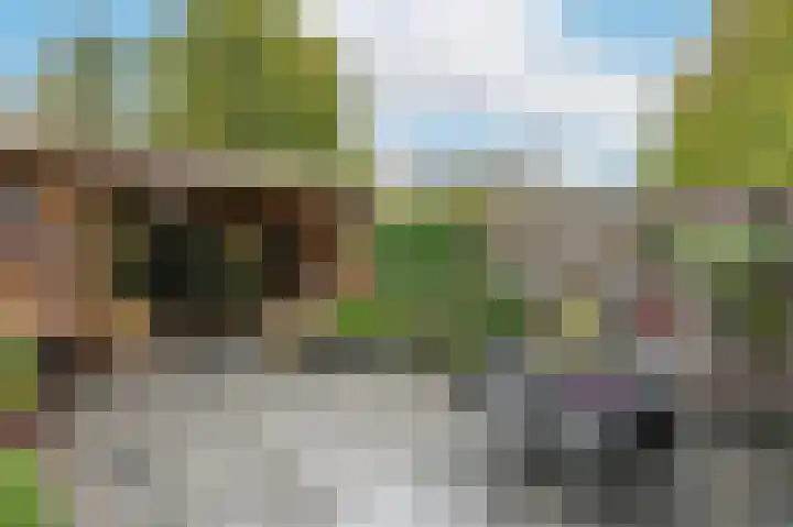 Patrijsstraat 6 Sommelsdijk thumbnail 28