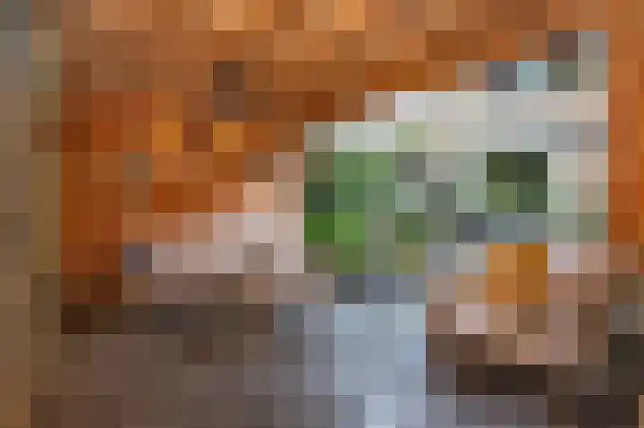 Patrijsstraat 6 Sommelsdijk thumbnail 29