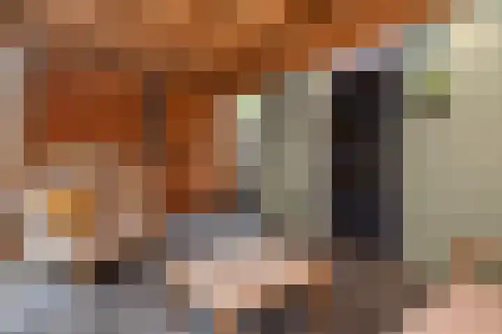Patrijsstraat 6 Sommelsdijk thumbnail 30