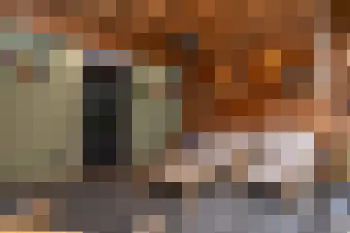Patrijsstraat 6 Sommelsdijk thumbnail 31