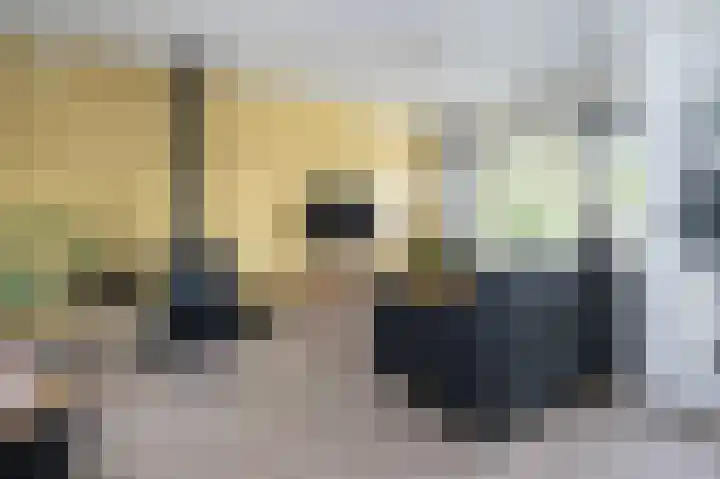 Patrijsstraat 6 Sommelsdijk thumbnail 4