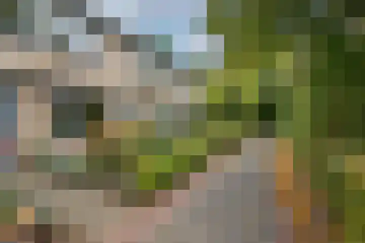 Patrijsstraat 6 Sommelsdijk thumbnail 5