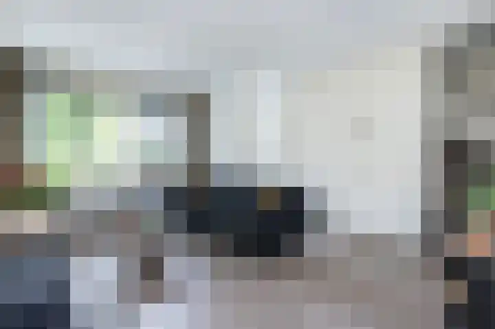 Patrijsstraat 6 Sommelsdijk thumbnail 8
