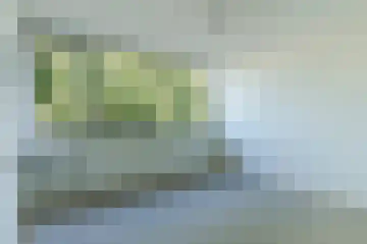 Patrijsstraat 64 Brummen thumbnail 14