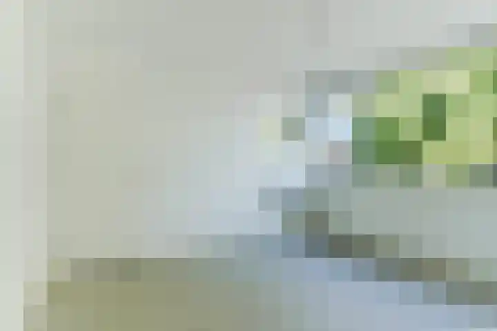 Patrijsstraat 64 Brummen thumbnail 15