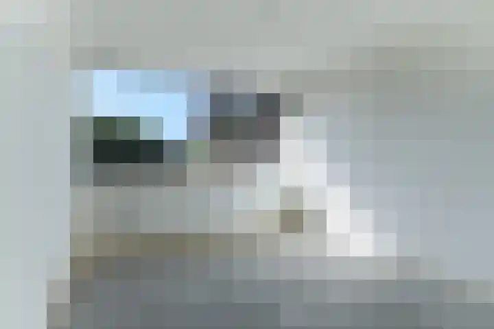 Patrijsstraat 64 Brummen thumbnail 17