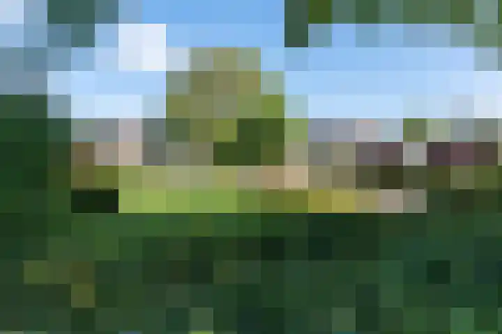 Patrijsstraat 64 Brummen thumbnail 31