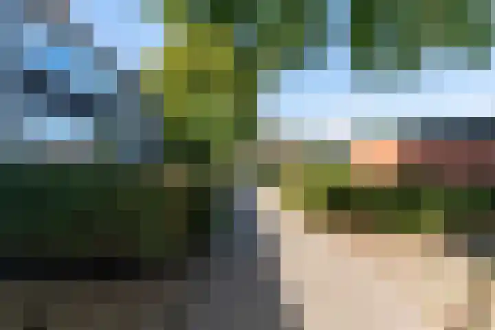 Patrijsstraat 64 Brummen thumbnail 32