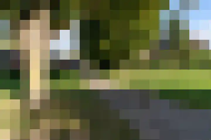 Patrijsstraat 64 Brummen thumbnail 33