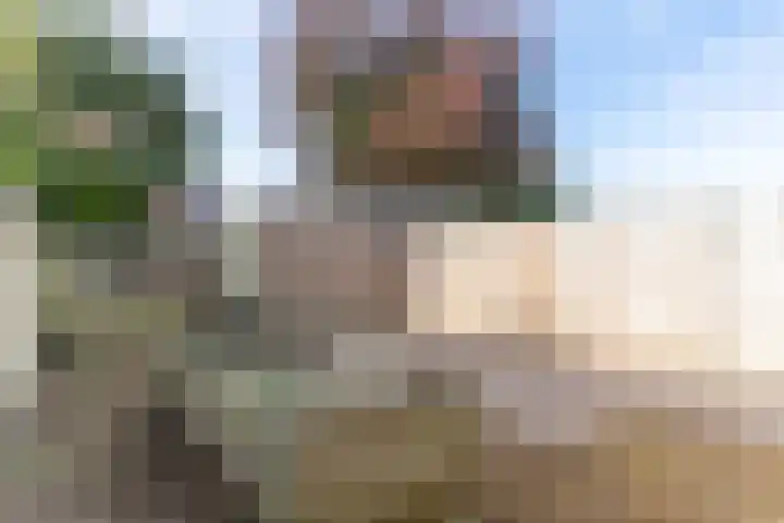 Patrijsstraat 64 Brummen thumbnail 9