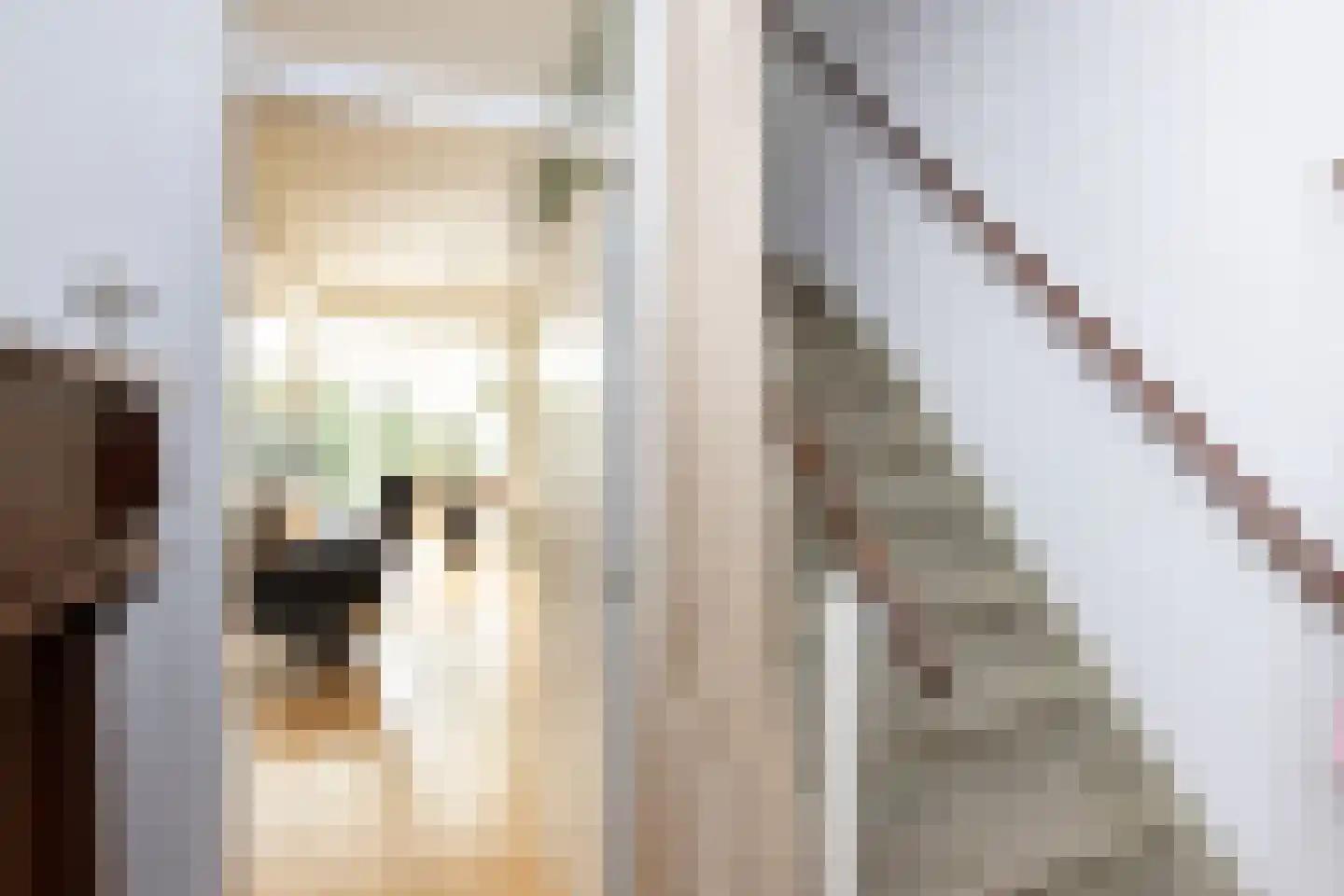 Patrijsstraat 65 Neede thumbnail 13