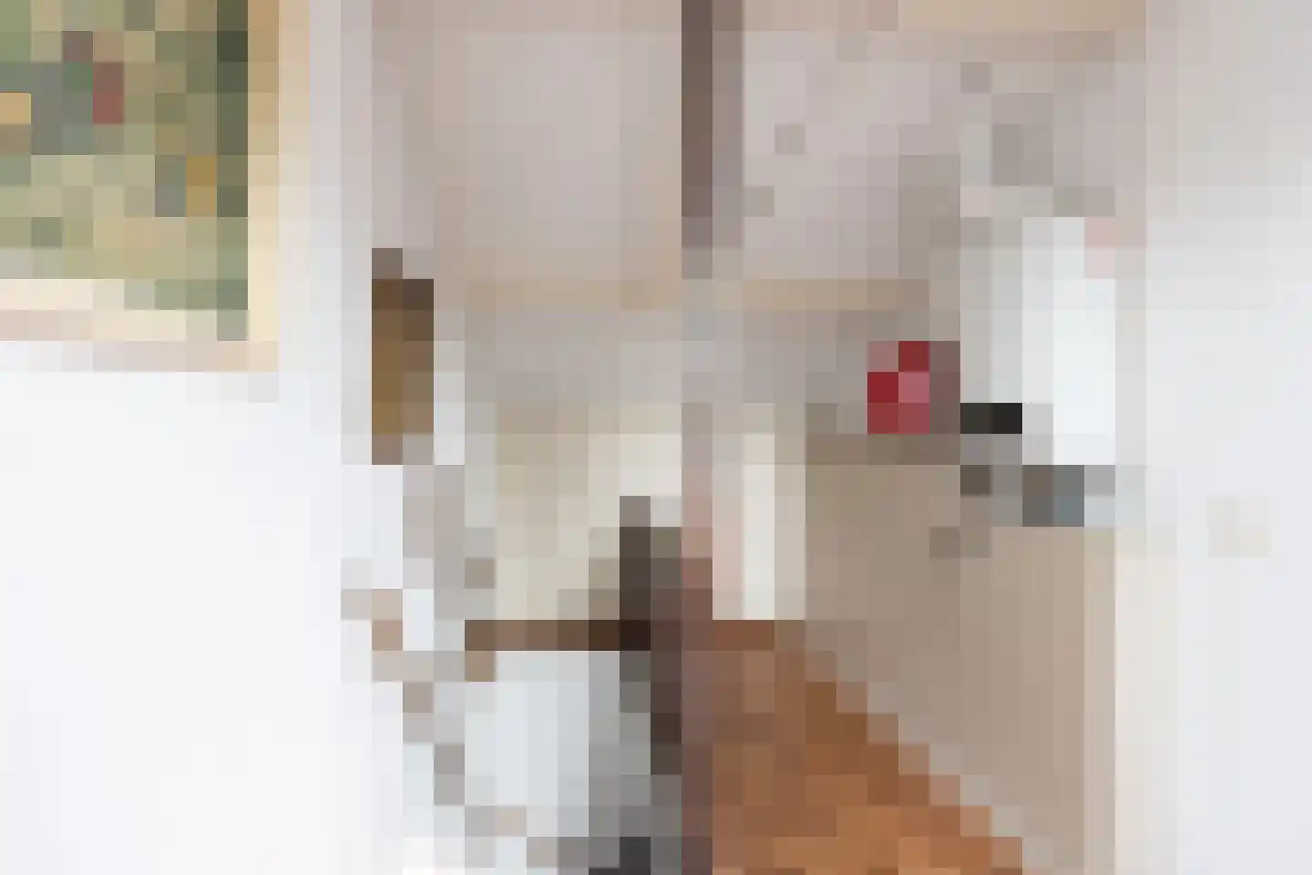 Patrijsstraat 65 Neede thumbnail 24