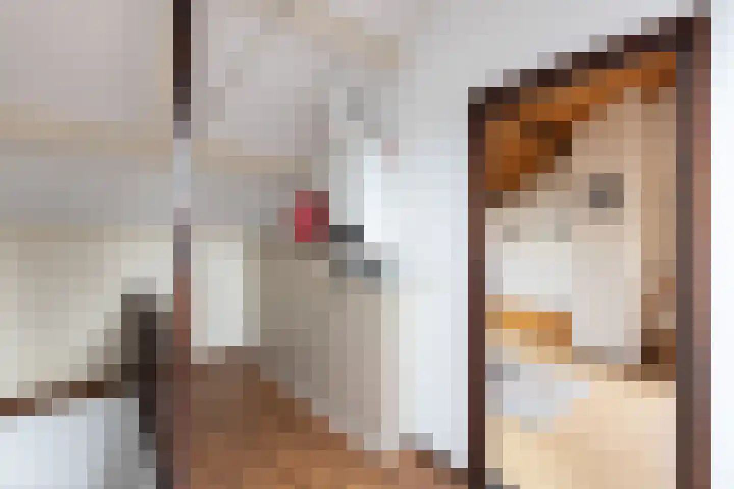 Patrijsstraat 65 Neede thumbnail 25
