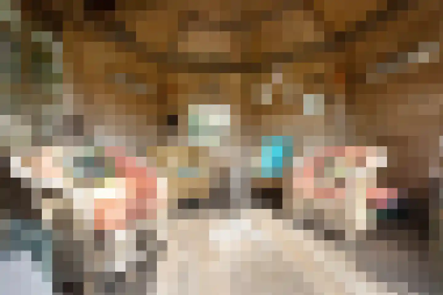 Patrijsstraat 65 Neede thumbnail 36