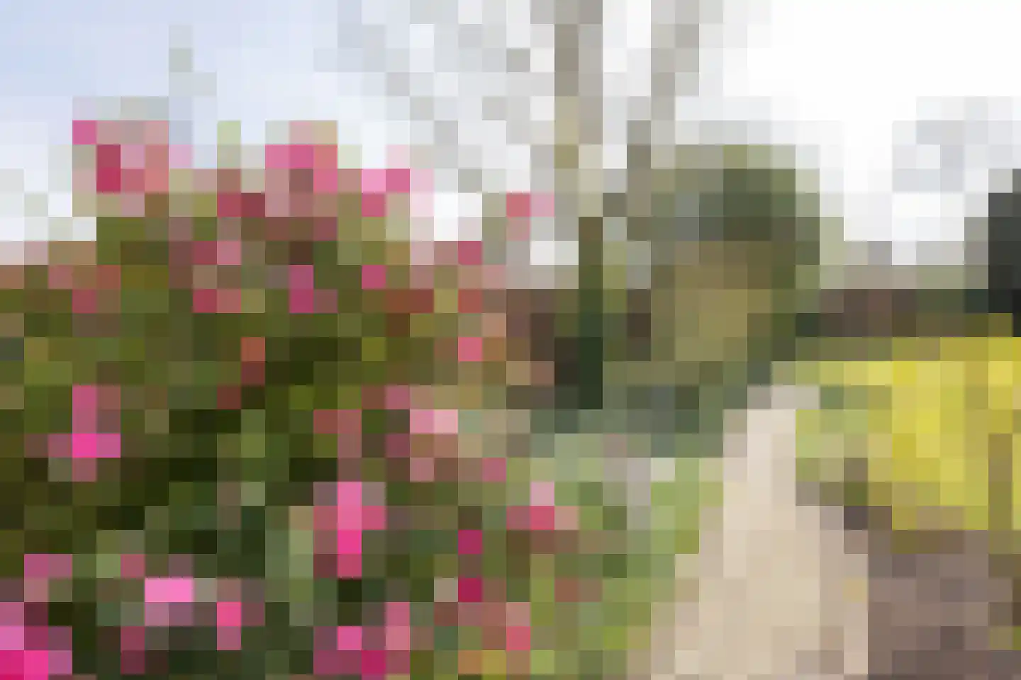 Patrijsstraat 65 Neede thumbnail 37