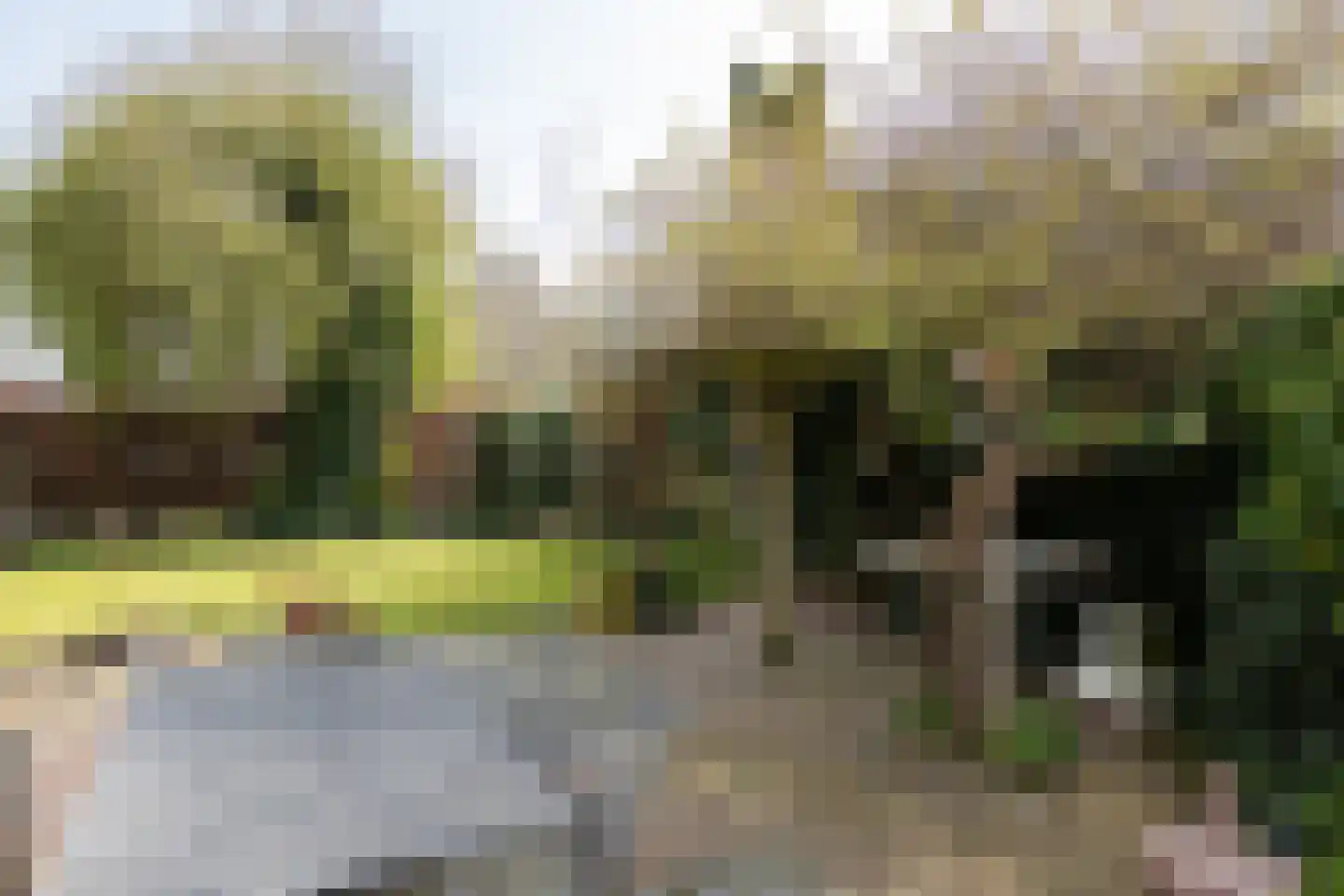 Patrijsstraat 65 Neede thumbnail 38