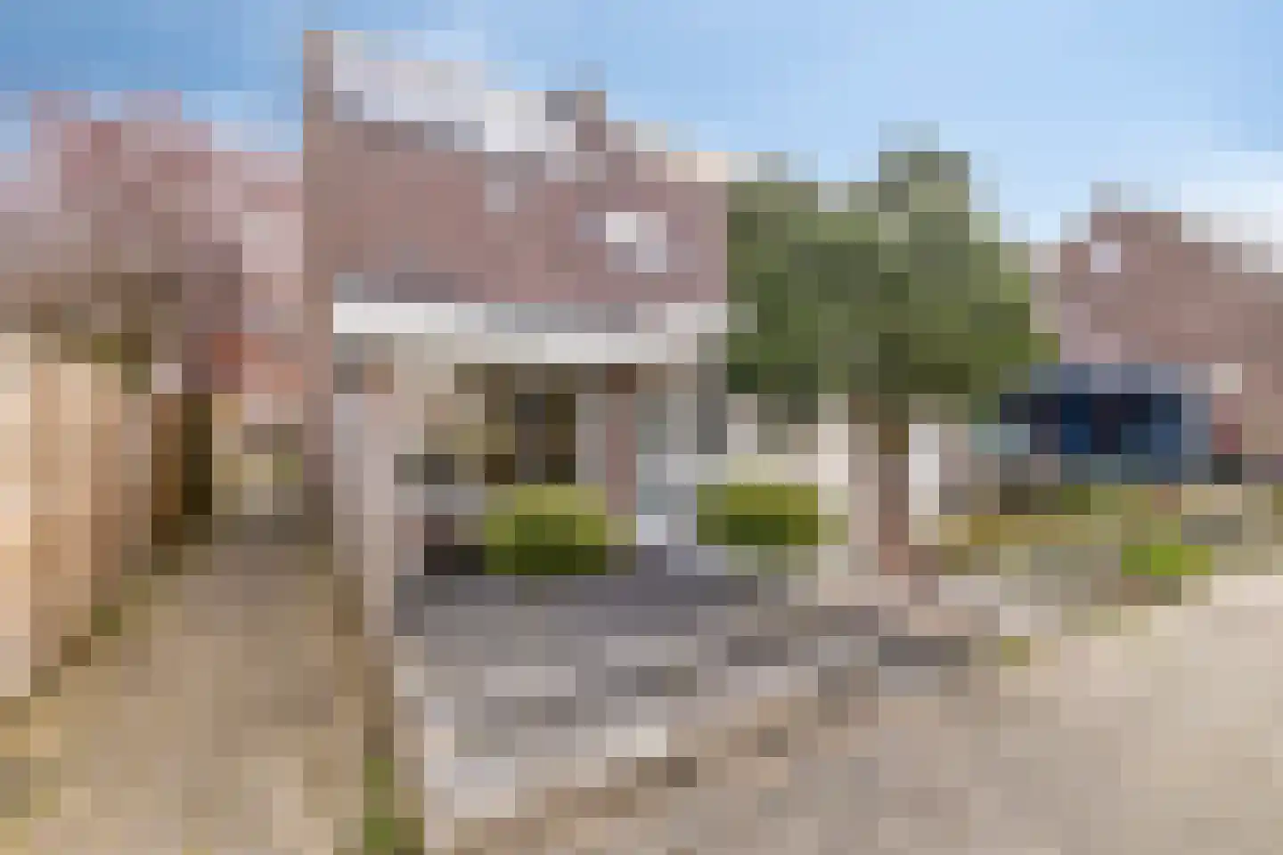 Patrijsstraat 7 dans Alkmaar