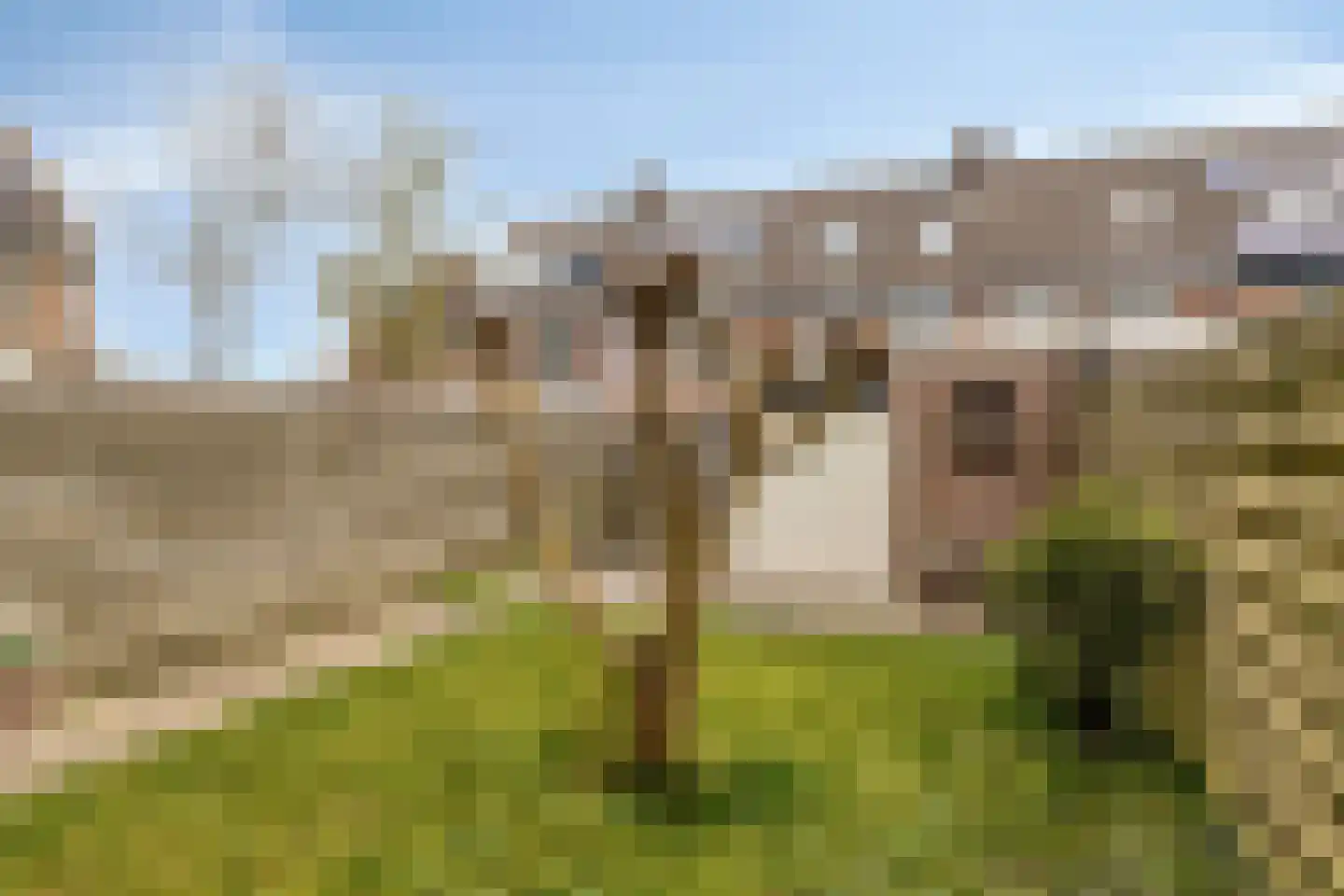 Patrijsstraat 7 Alkmaar thumbnail 21