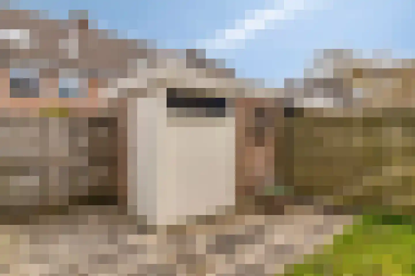 Patrijsstraat 7 Alkmaar thumbnail 22