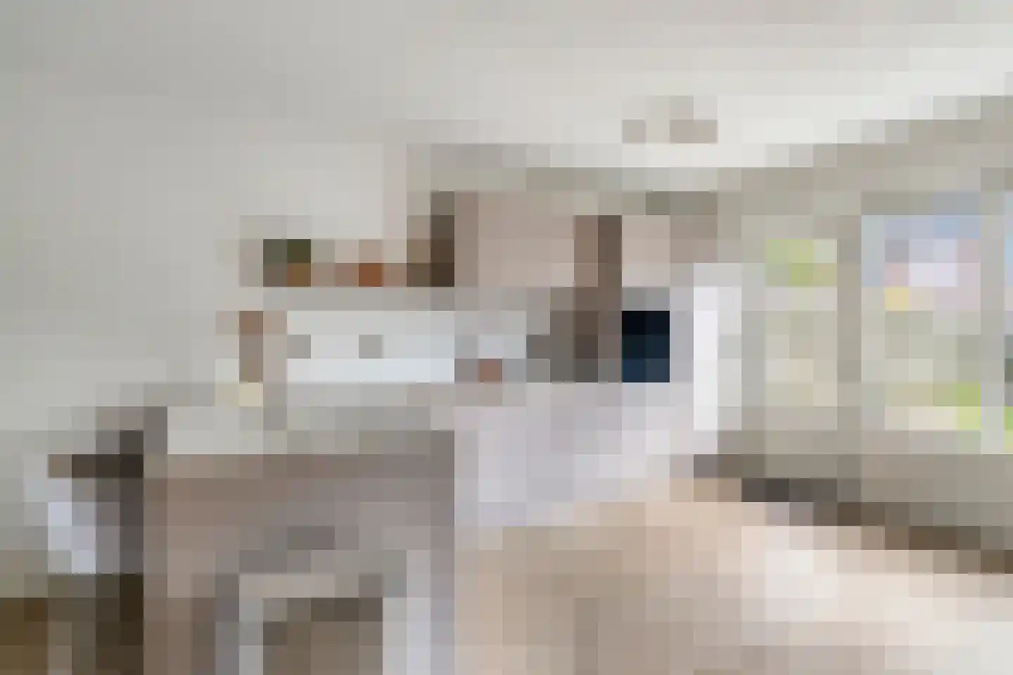Patrijsstraat 7 Alkmaar thumbnail 4