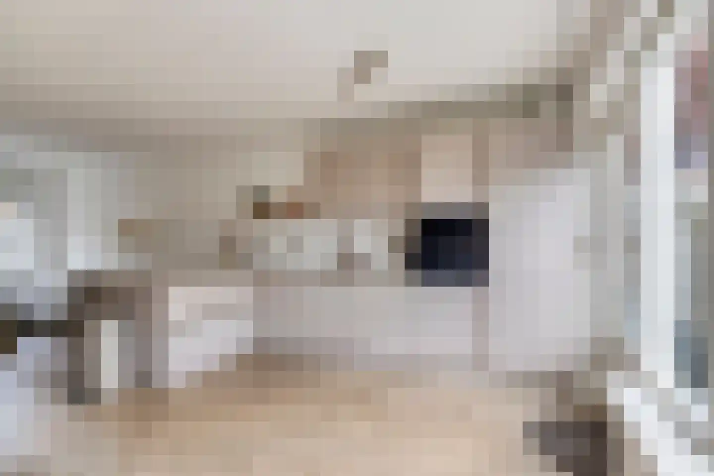 Patrijsstraat 7 Alkmaar thumbnail 8