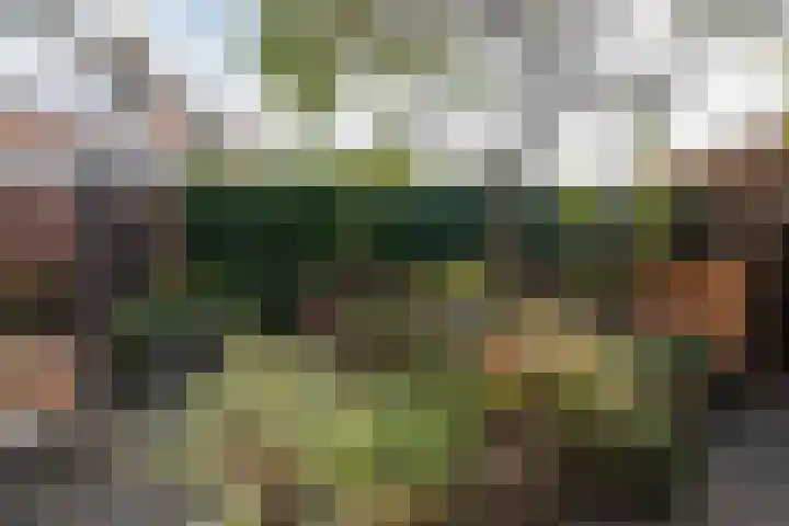Patrijsstraat 8 Beek thumbnail 26