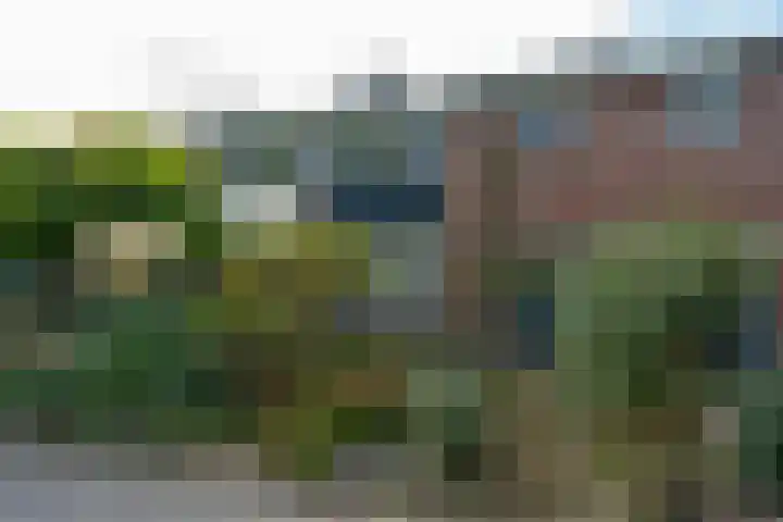 Patrijsstraat 8 Beek thumbnail 29
