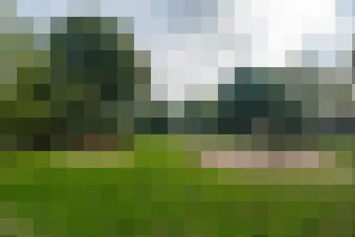 Patrijsstraat 8 Beek thumbnail 31