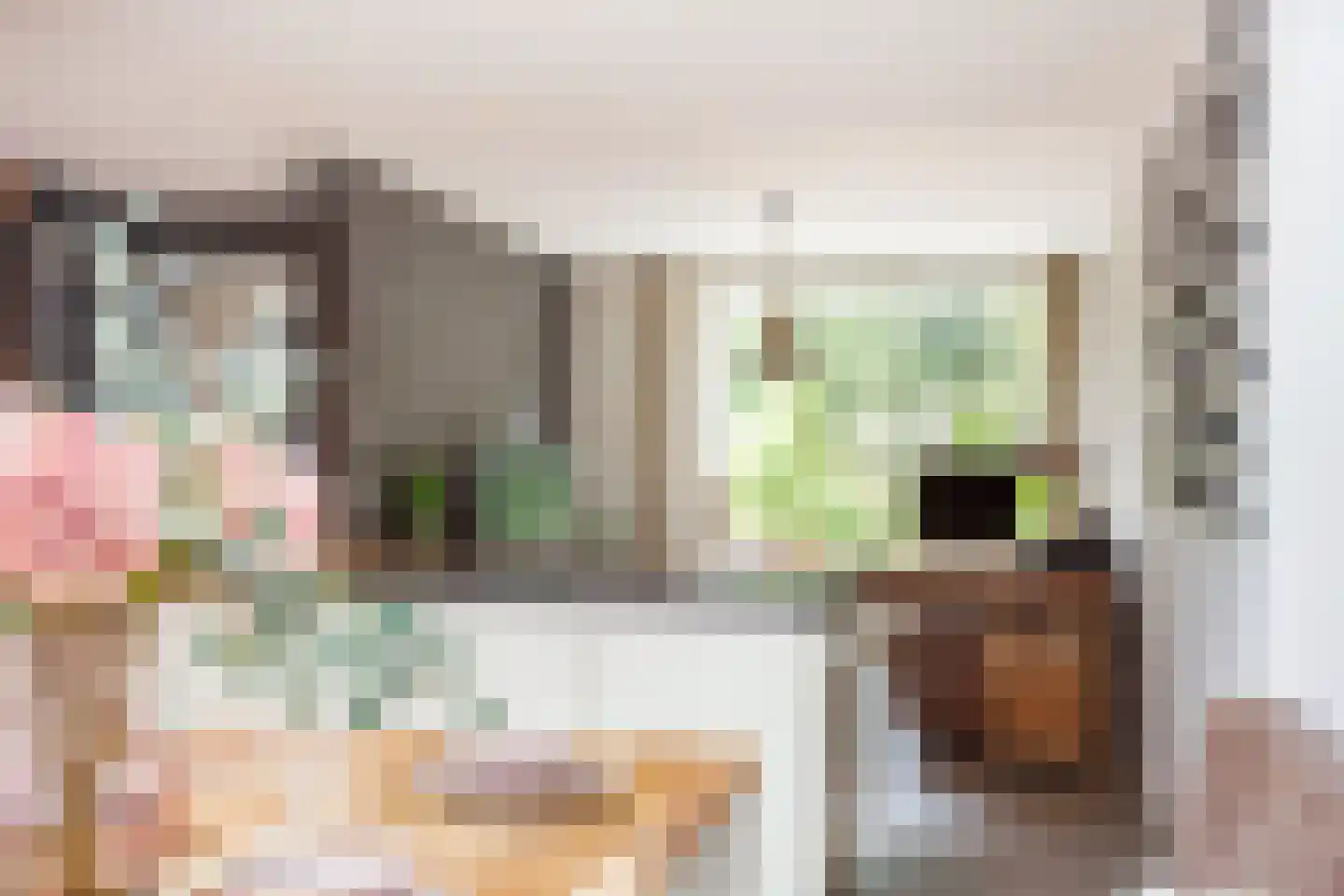 Patrijsstraat 8 Wijchen thumbnail 10