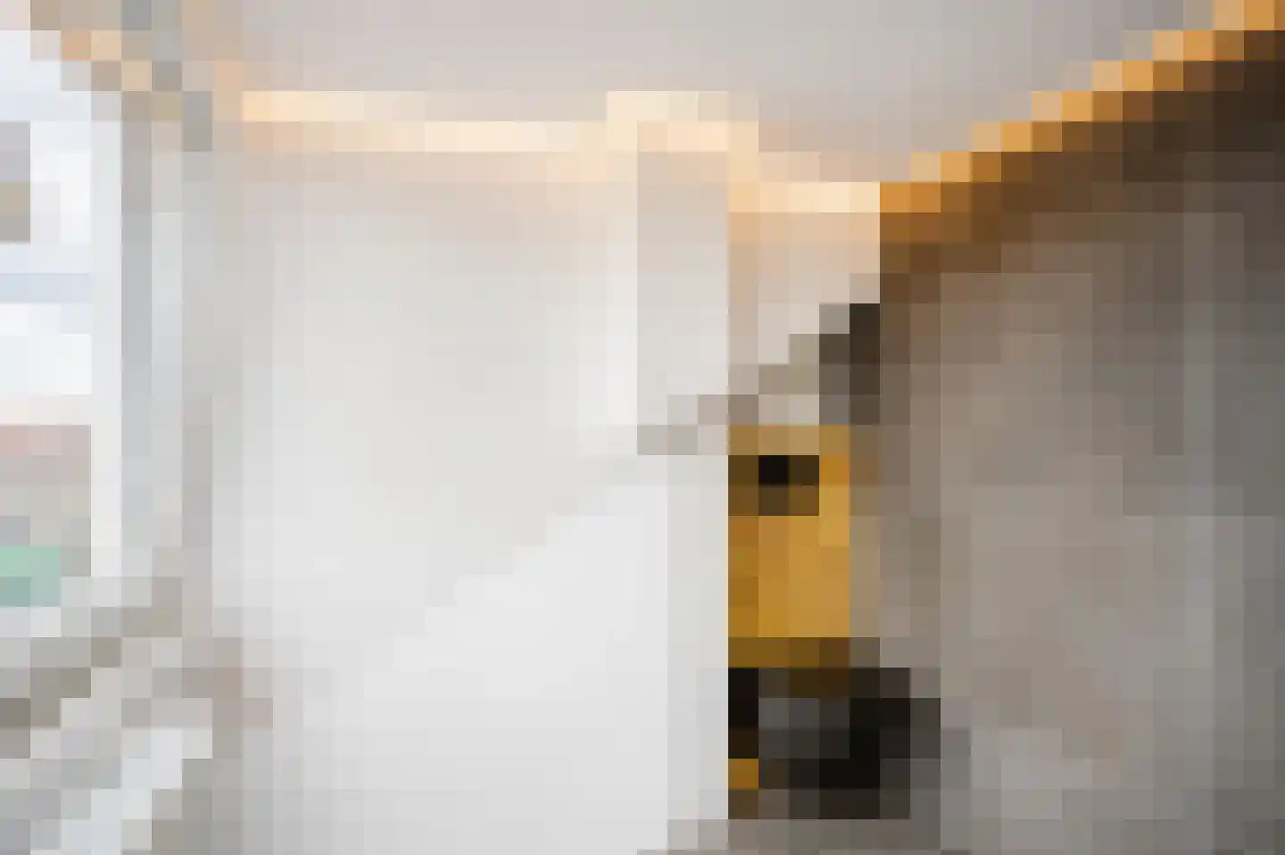 Patrijsstraat 8 Wijchen thumbnail 31