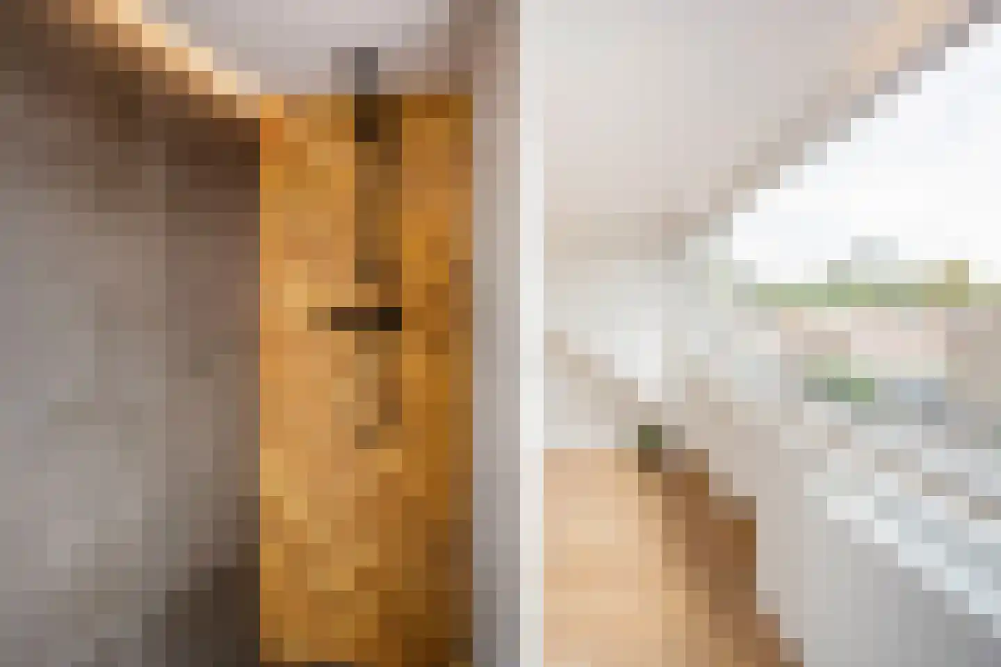 Patrijsstraat 8 Wijchen thumbnail 32