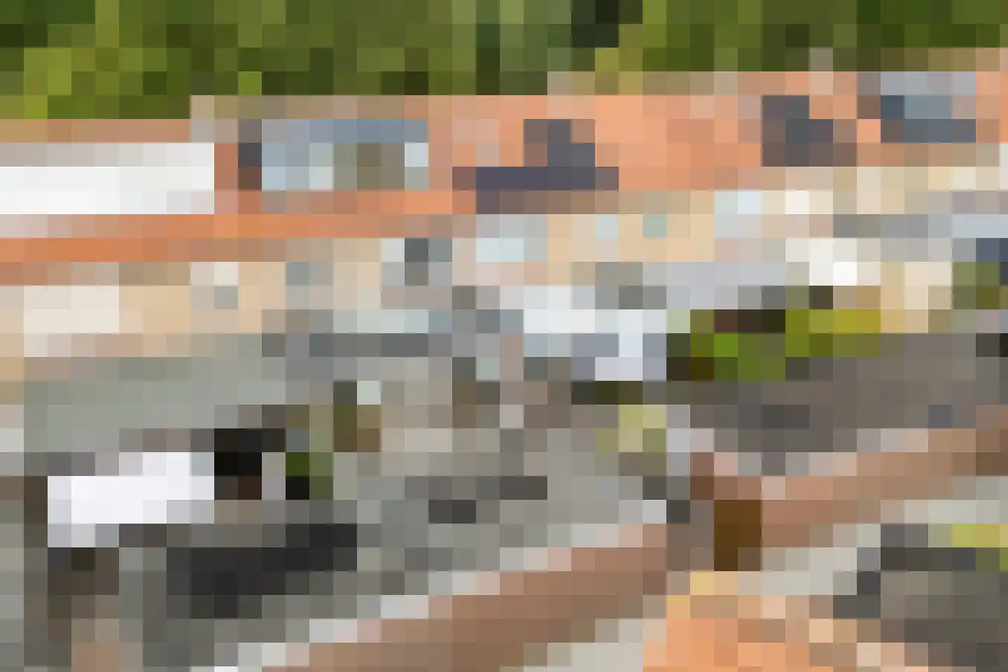 Patrijsstraat 8 Wijchen thumbnail 34