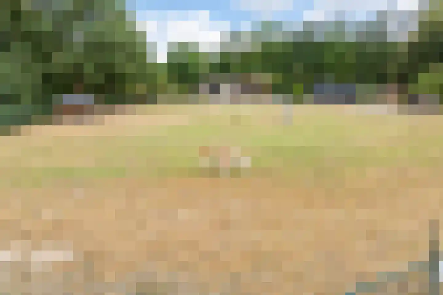 Patrijsstraat 8 Wijchen thumbnail 36