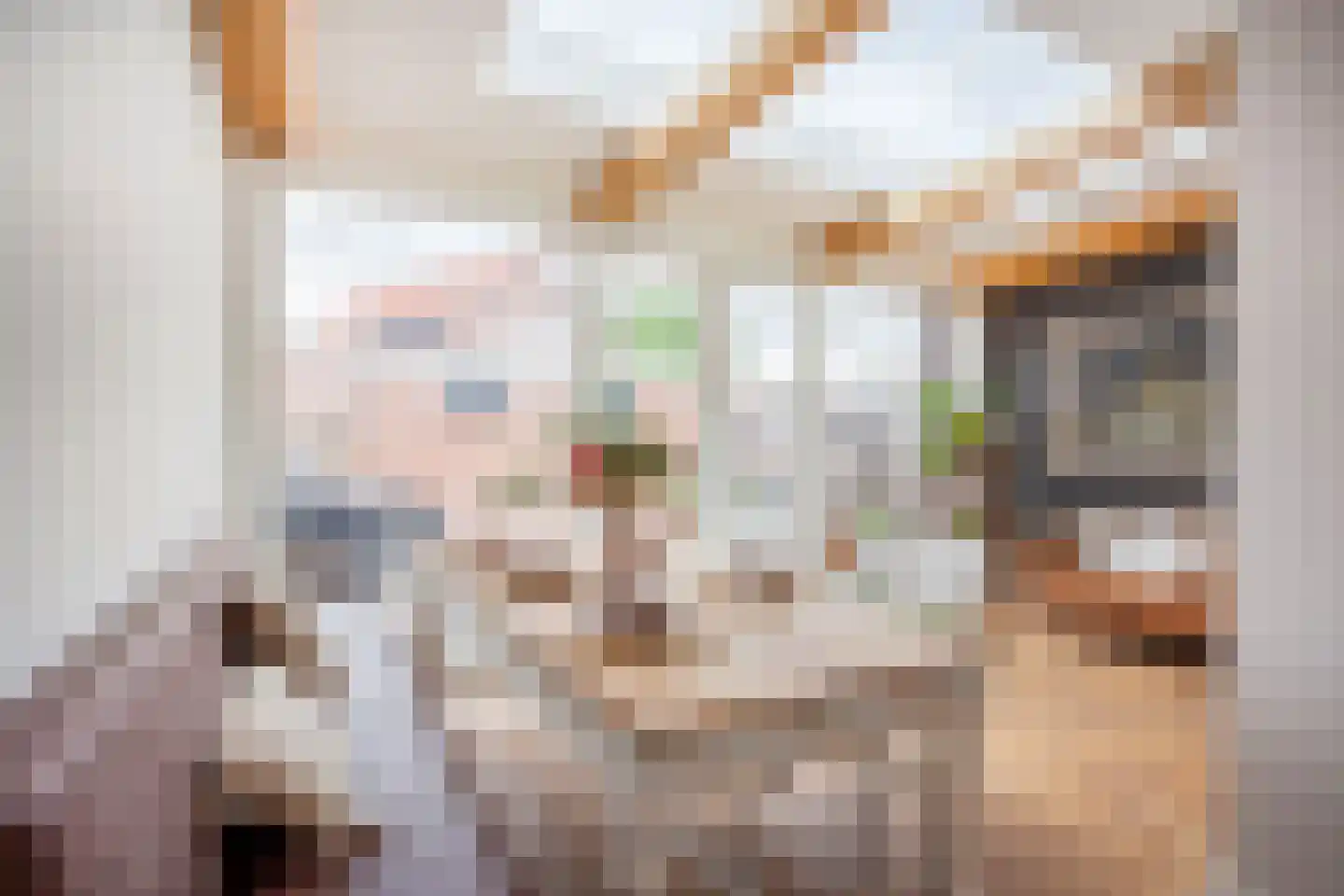 Patrijsstraat 8 Wijchen thumbnail 8
