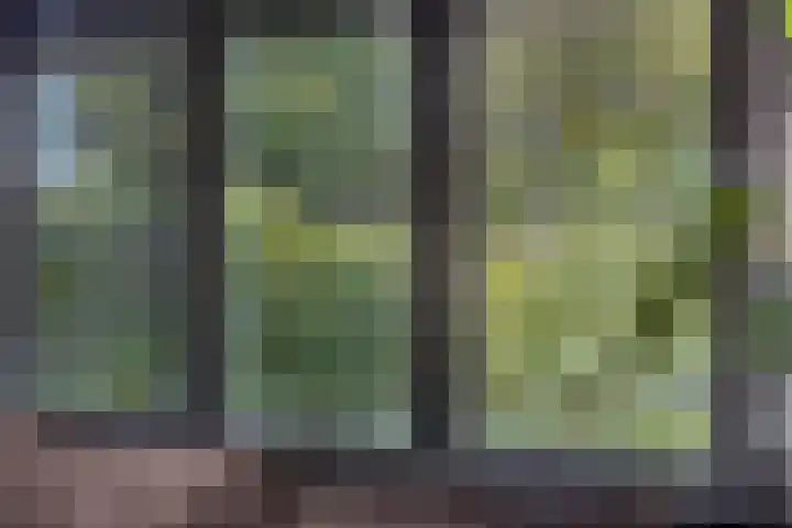 Patrijsstraat 9 Eindhoven thumbnail 10