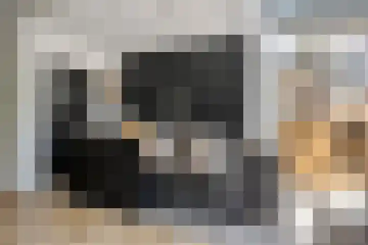 Patrijsstraat 9 Eindhoven thumbnail 11