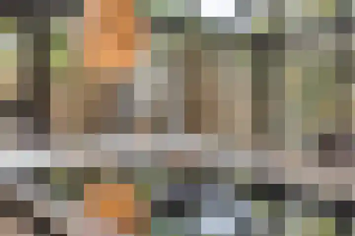 Patrijsstraat 9 Eindhoven thumbnail 14