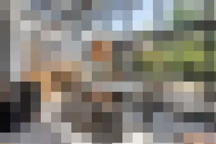 Patrijsstraat 9 Eindhoven thumbnail 16