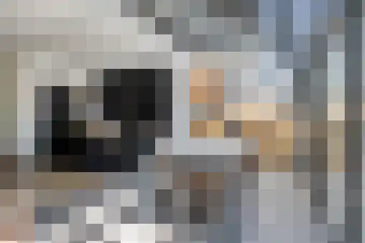 Patrijsstraat 9 Eindhoven thumbnail 17