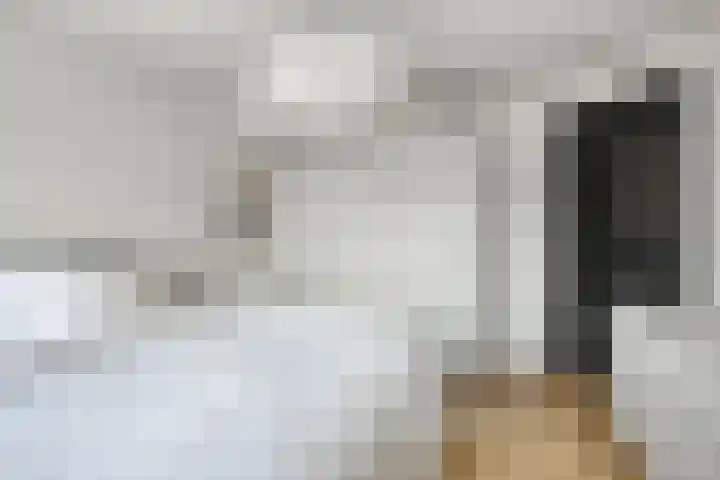 Patrijsstraat 9 Eindhoven thumbnail 19